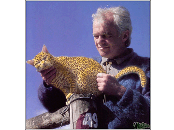 otherfakeleopard