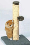 cat-scratching-post